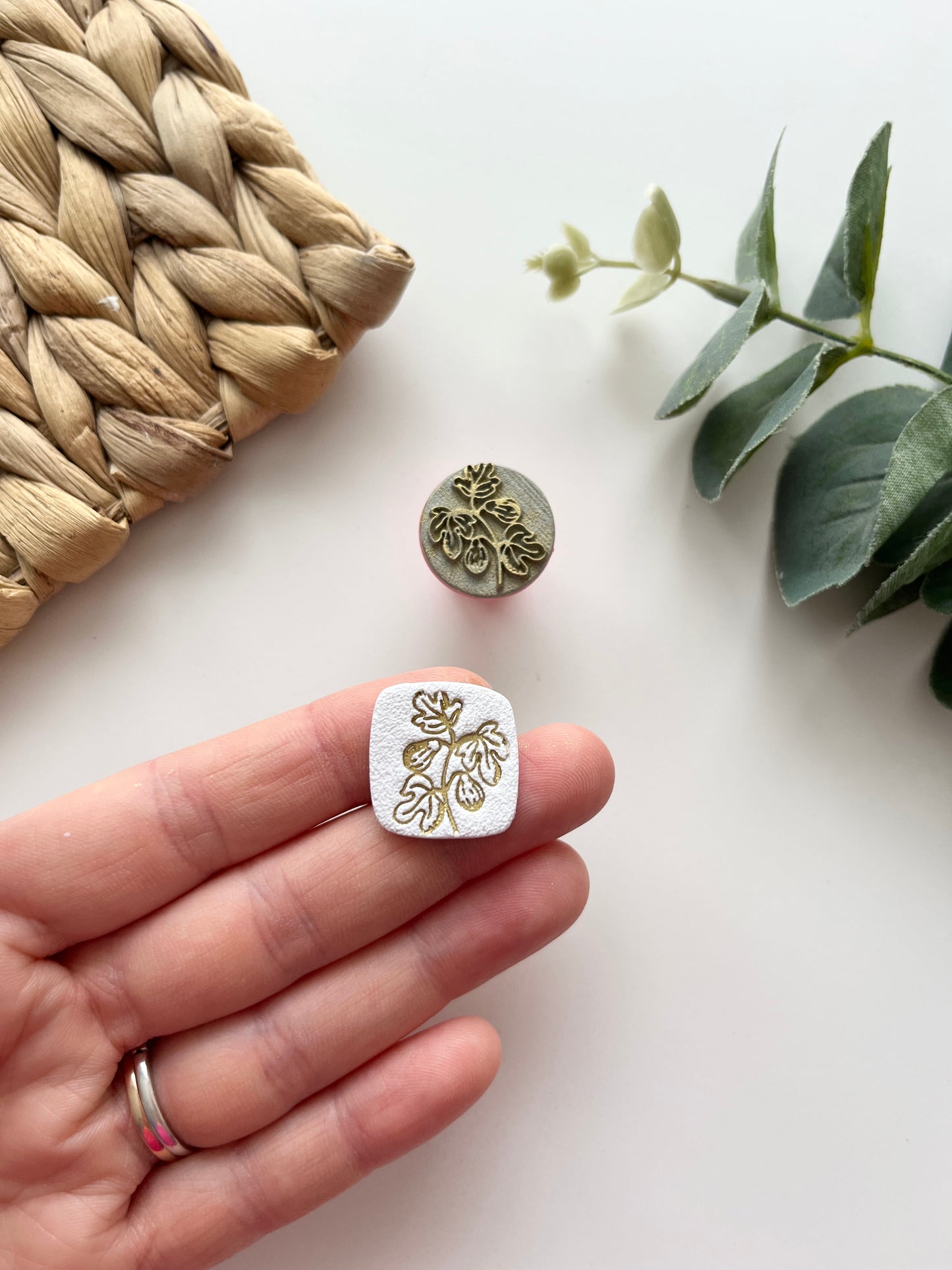 Stamps Mica Powder- Autumn Twigs