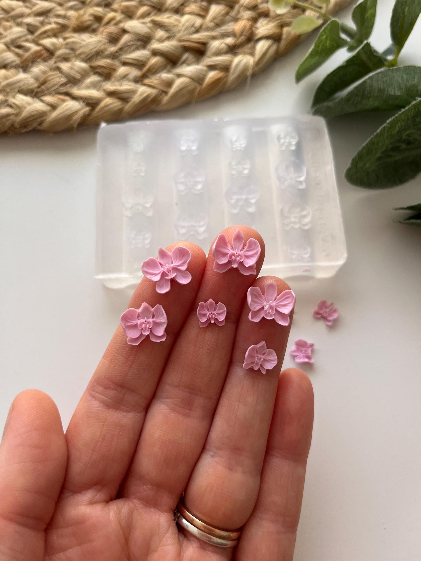 Mini Orchid Mold
