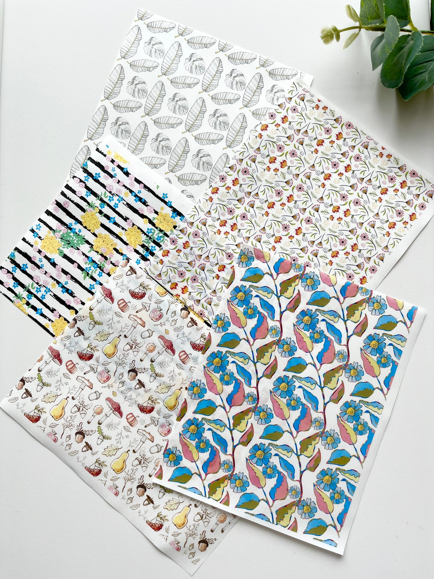Lot de papier de transfert d'image 1