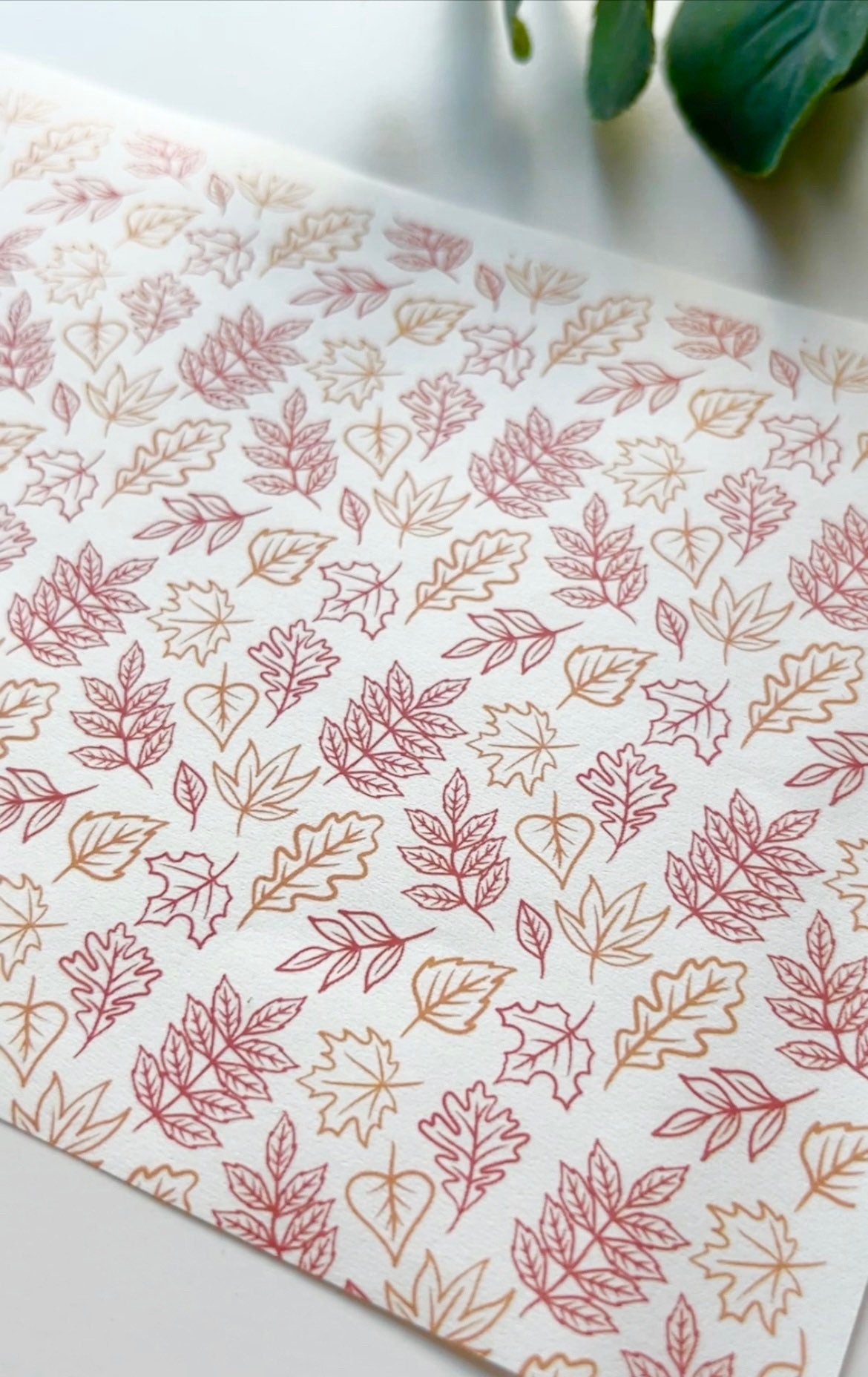 Image Transfer Paper Bundle 2