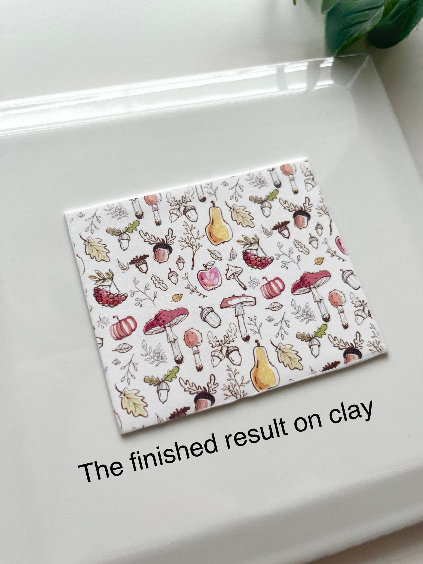 Papier de transfert d'image de champignons