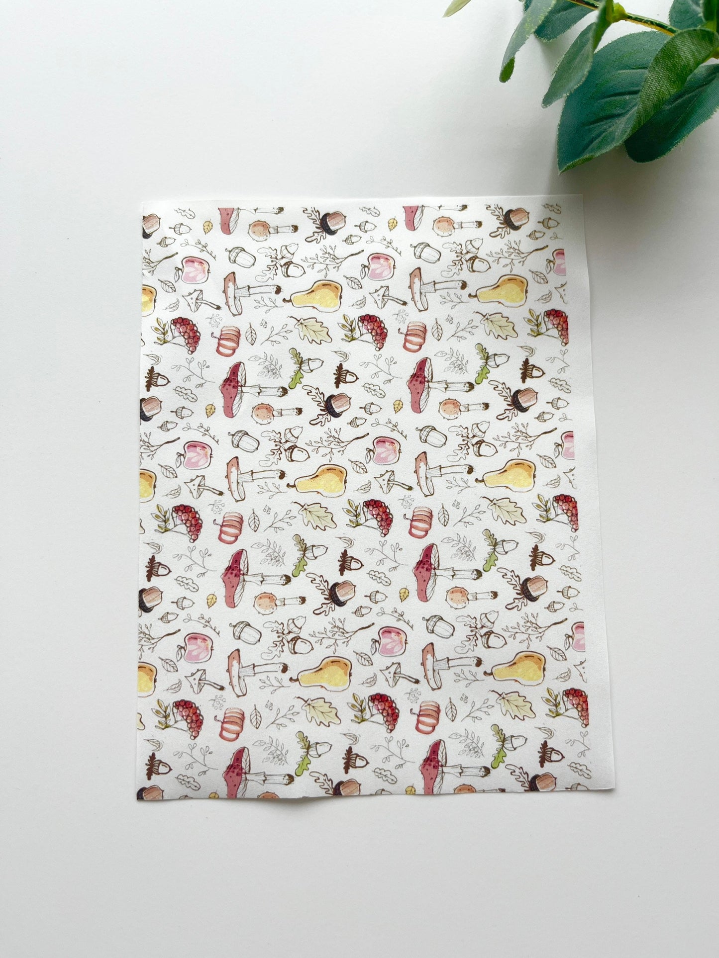 Papier de transfert d'image de champignons