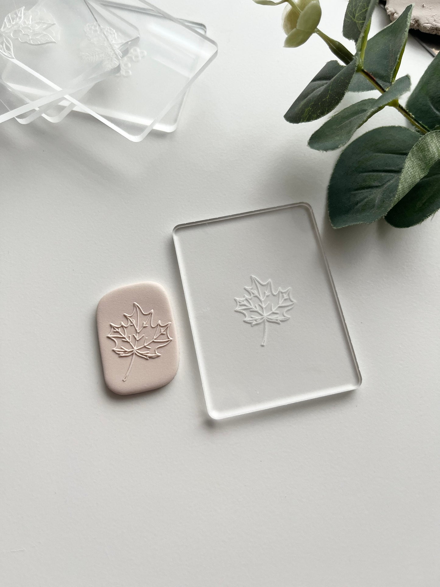 Autumn Set of 3