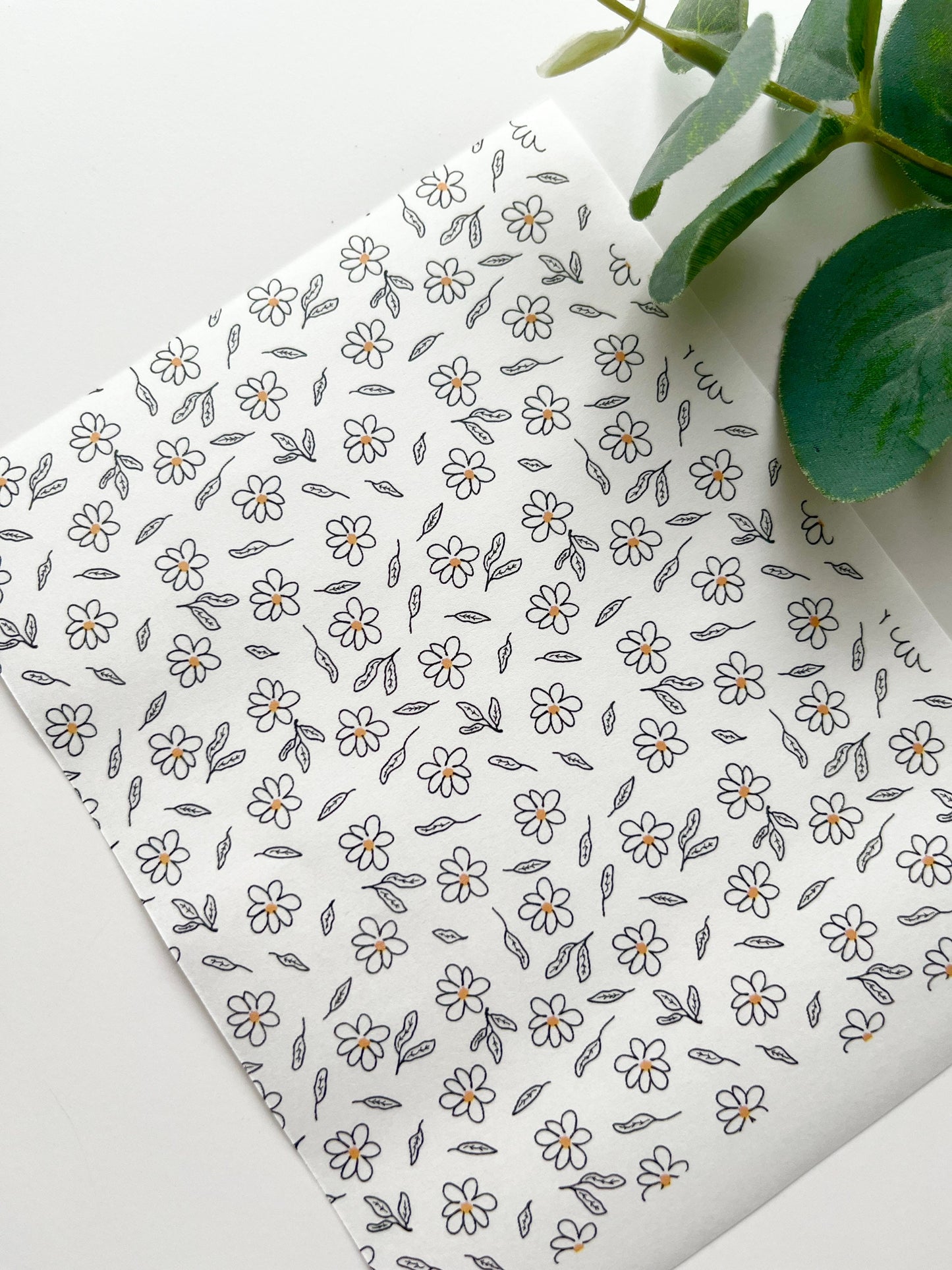 Daisy Fields Transfer Paper