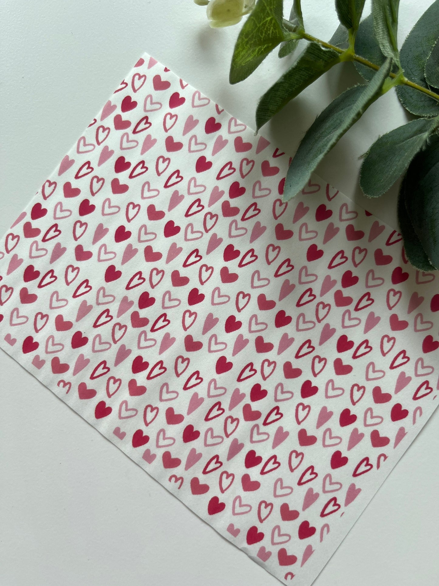 Papier de transfert d'image de coeurs biologiques