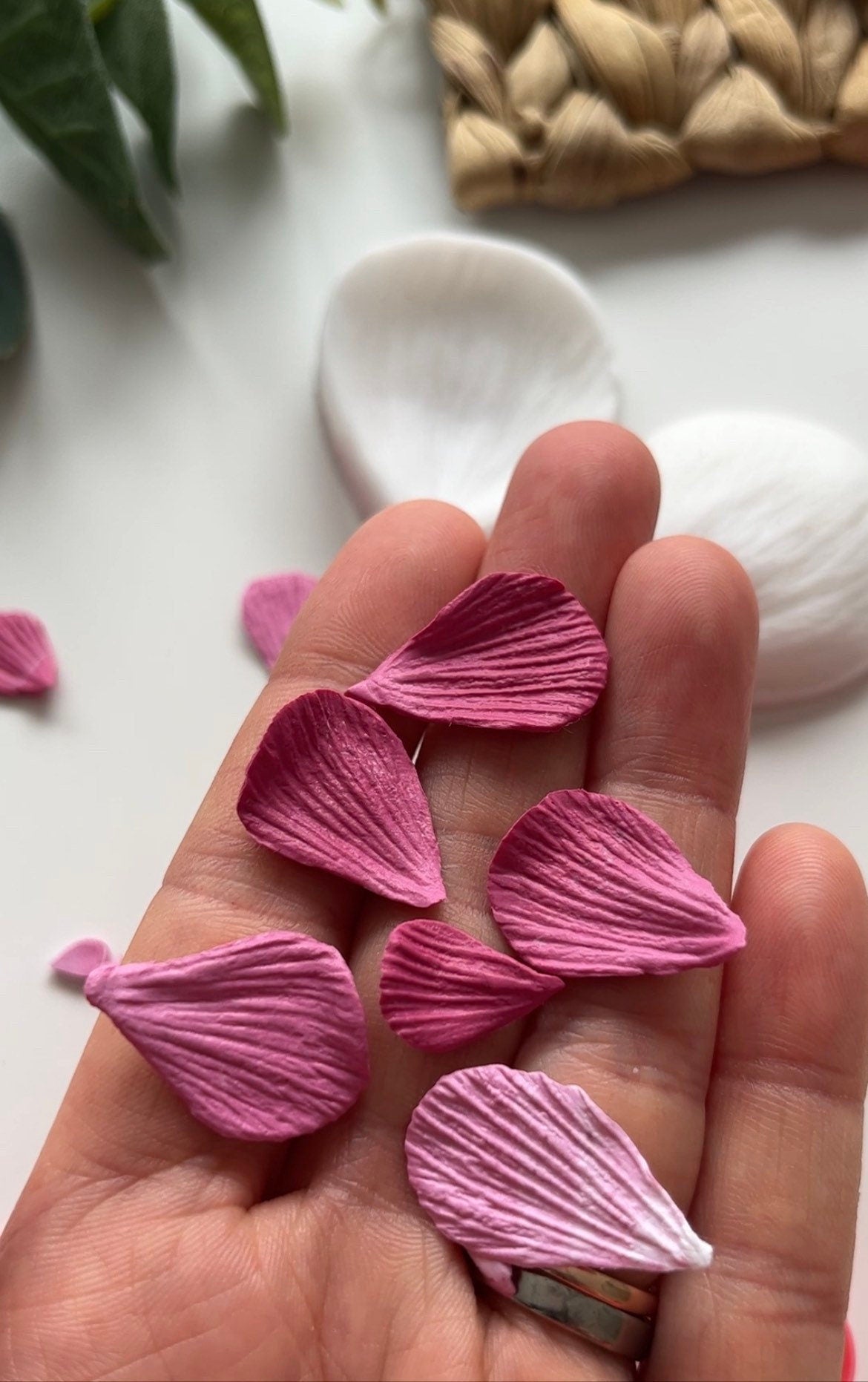 Petal Press #1