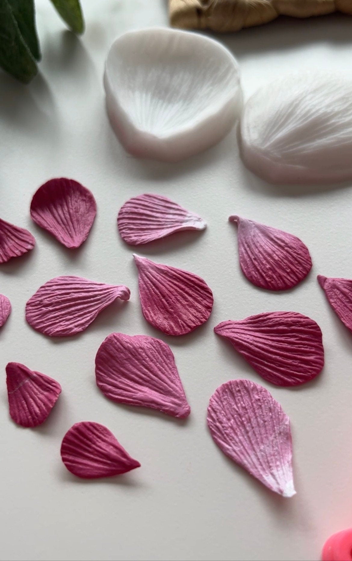 Petal Press #1