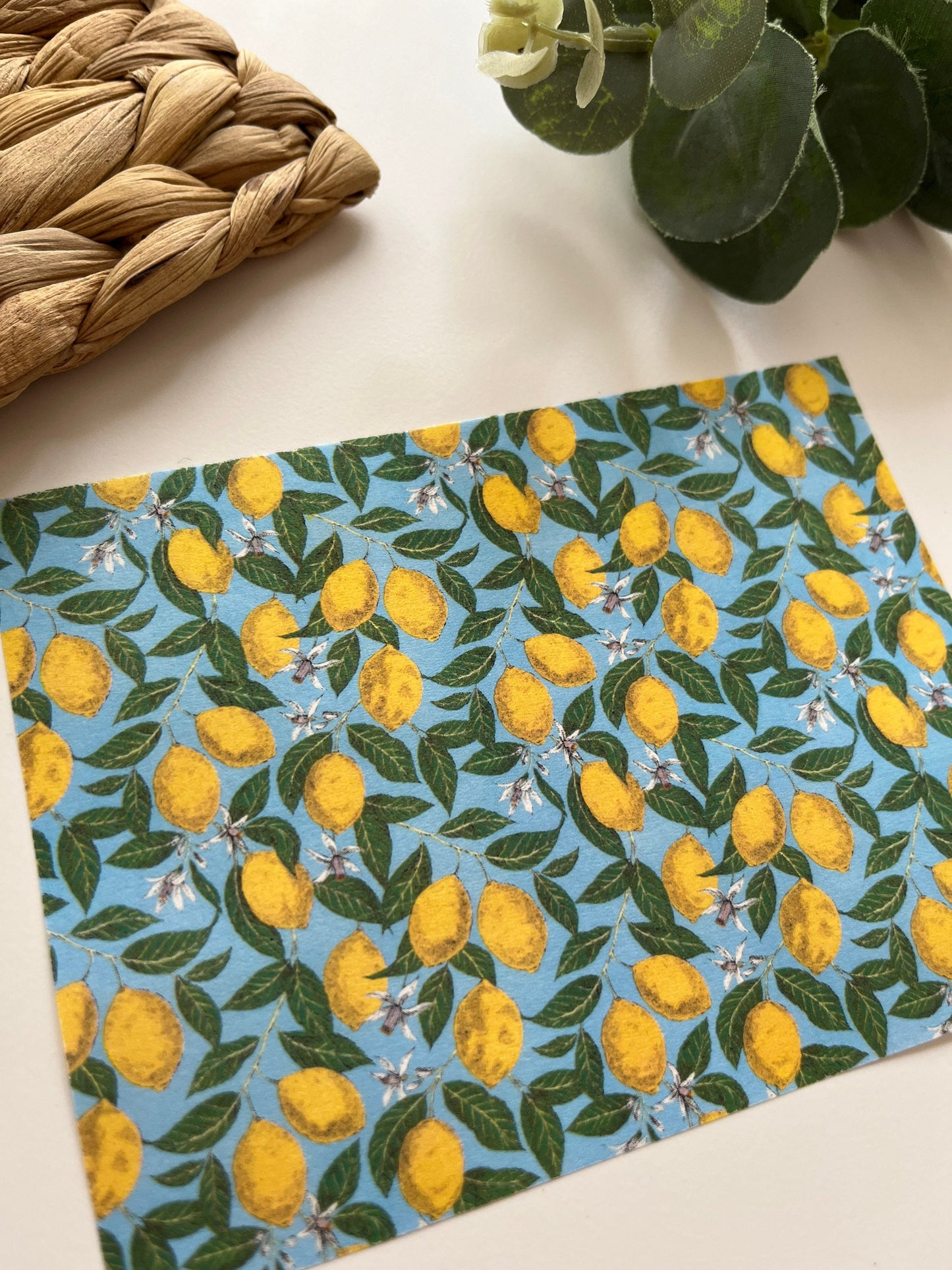 Lemons #2 Image Transfer Paper