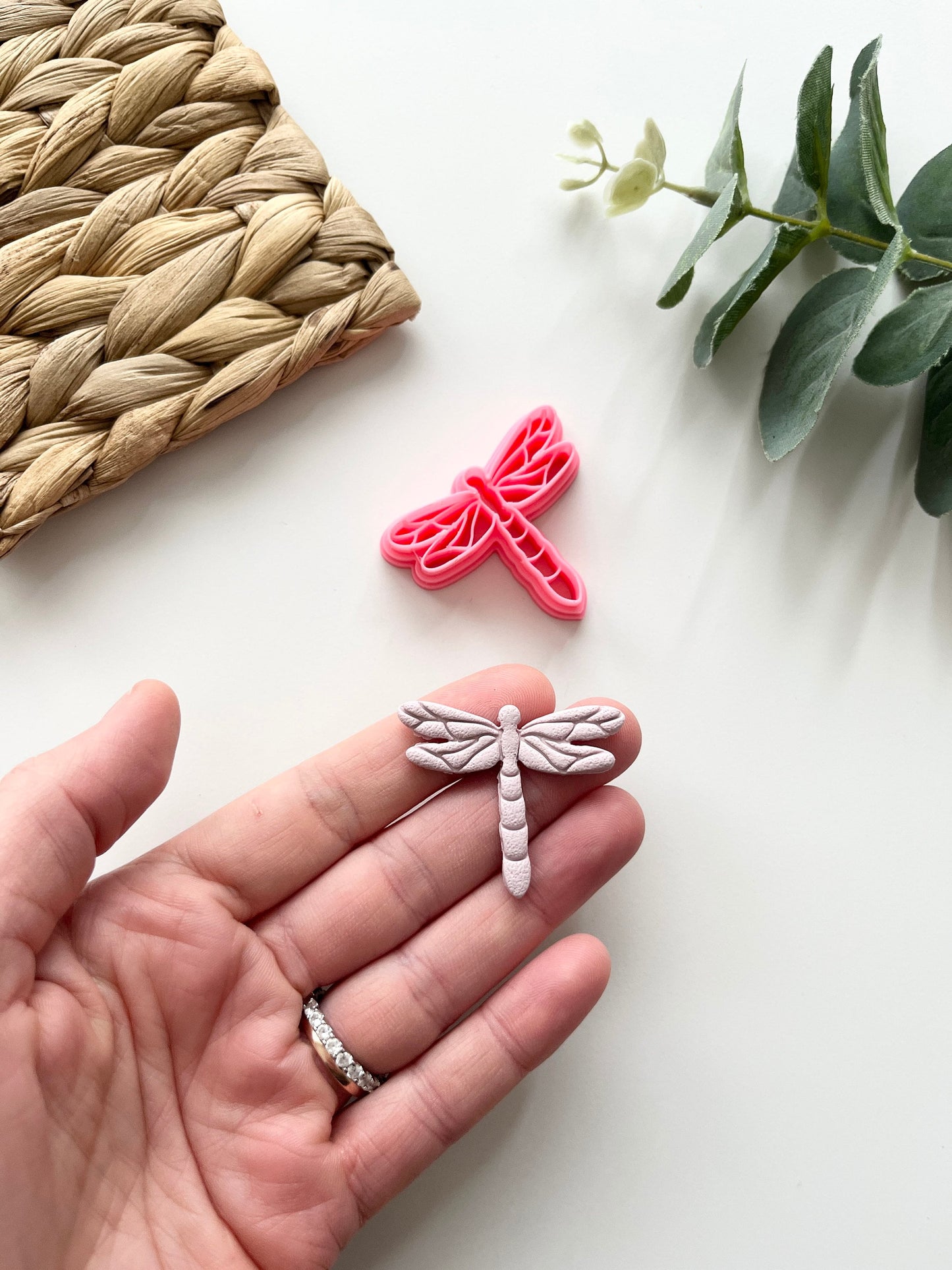 Dragonfly #2