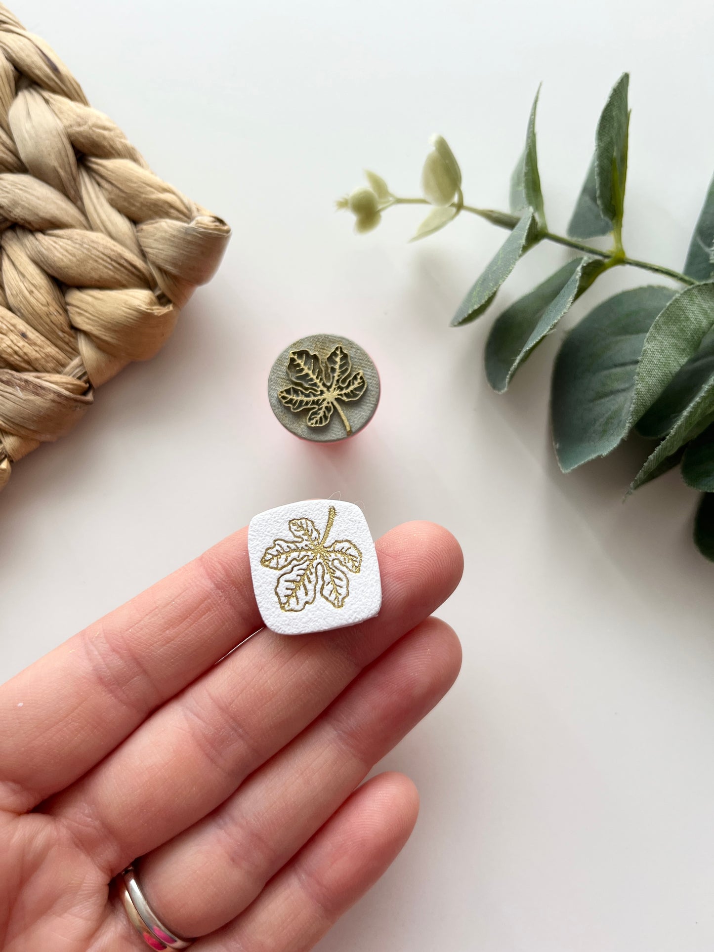 Stamps Mica Powder- Autumn Twigs