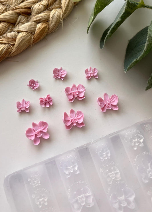 Mini Orchid Mold