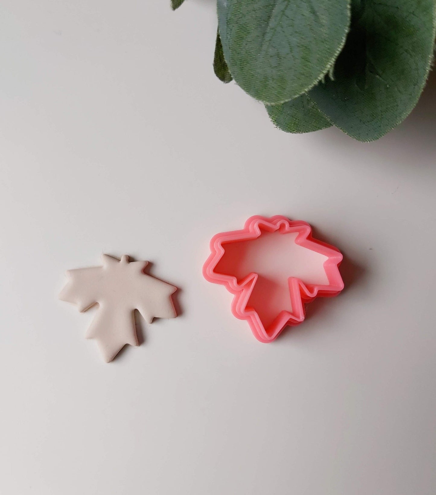Maple Leaf #2