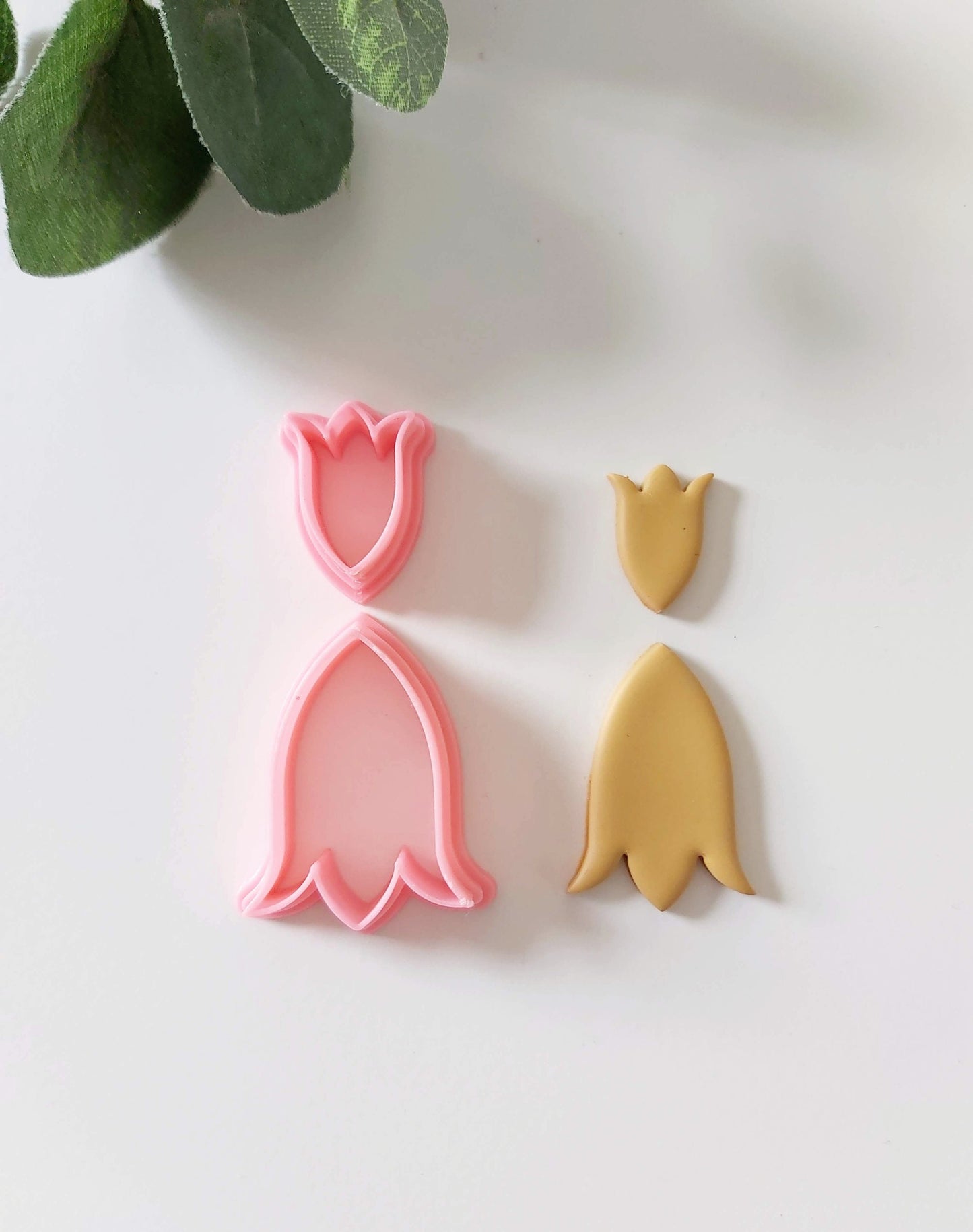 Contour de tulipe