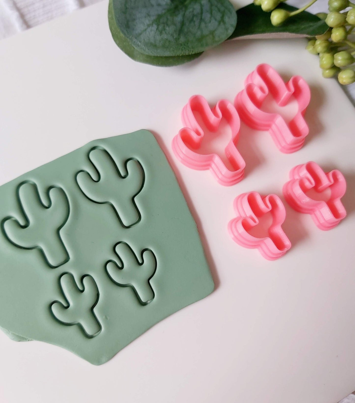 Cactus