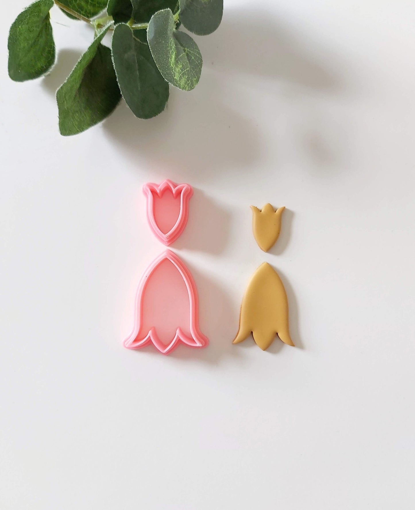 Contour de tulipe