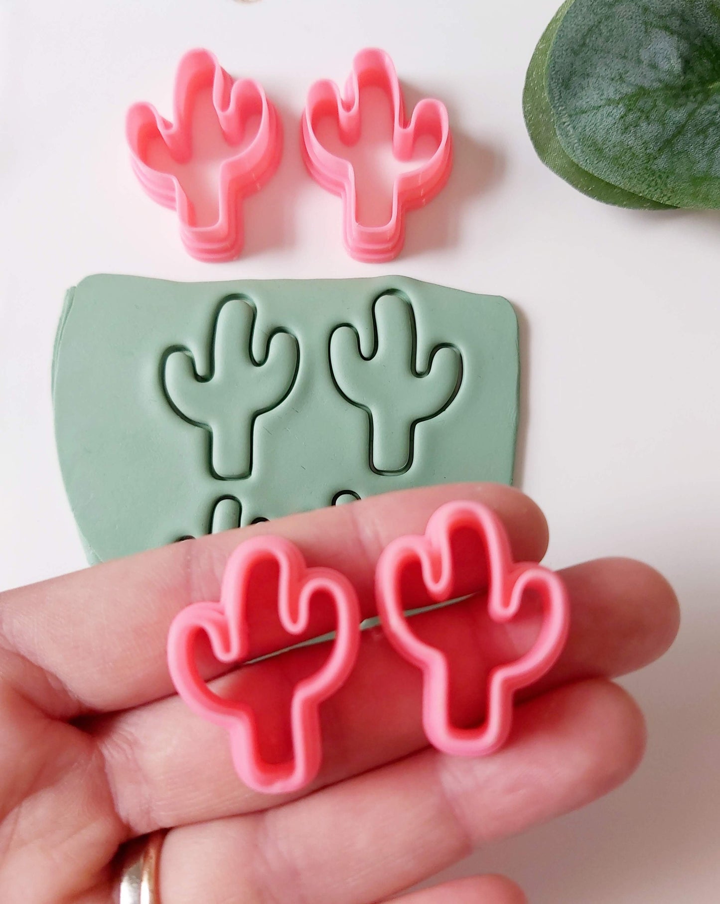 Cactus