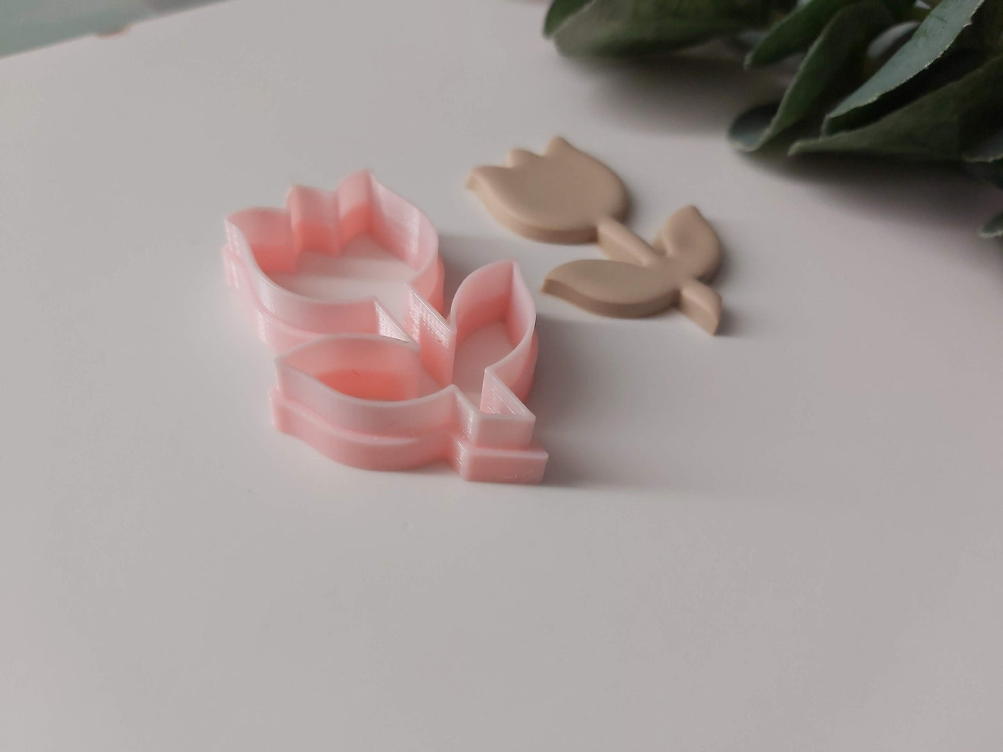 Tulipe sur tige