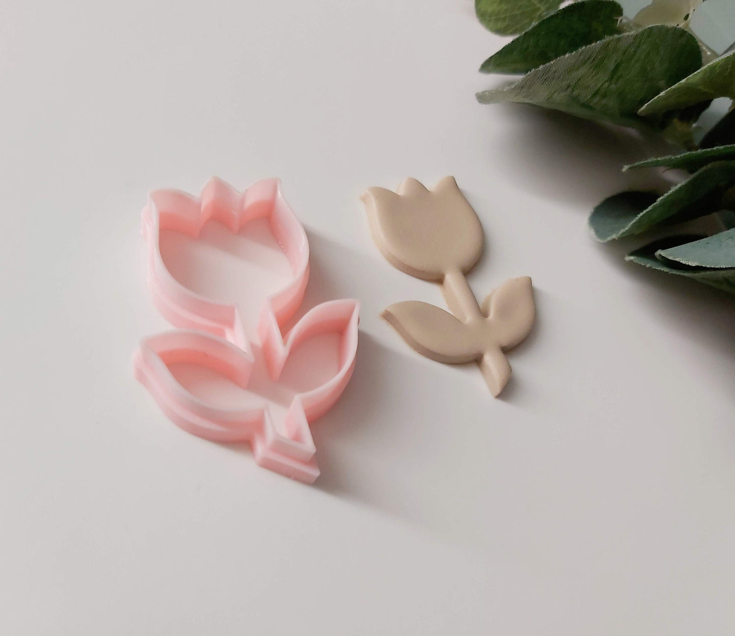 Tulipe sur tige