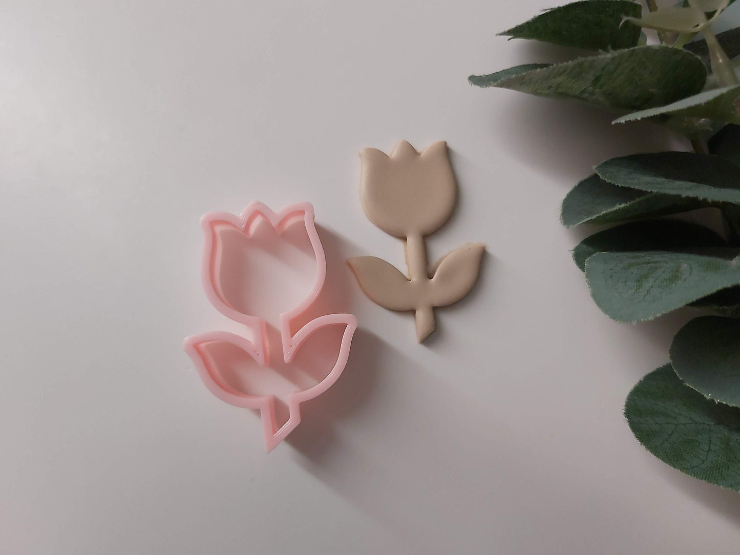 Tulipe sur tige