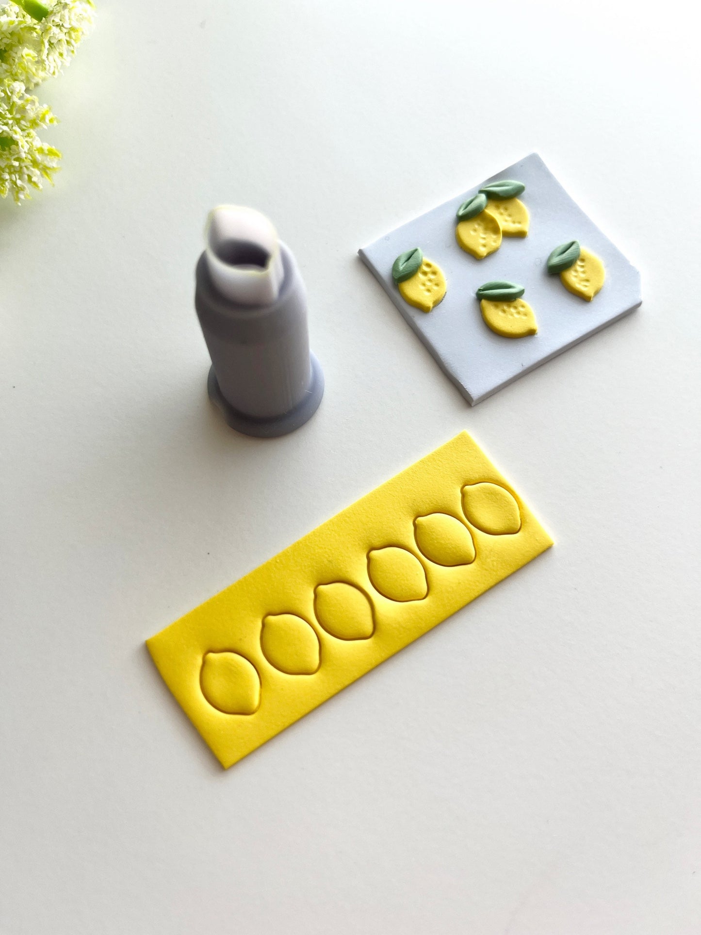 Mini Citron