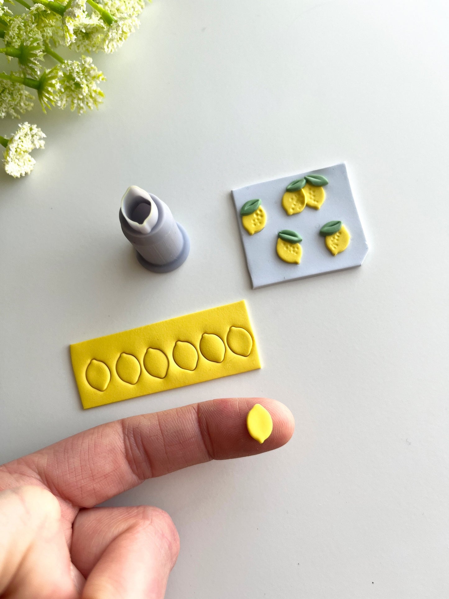 Mini Citron