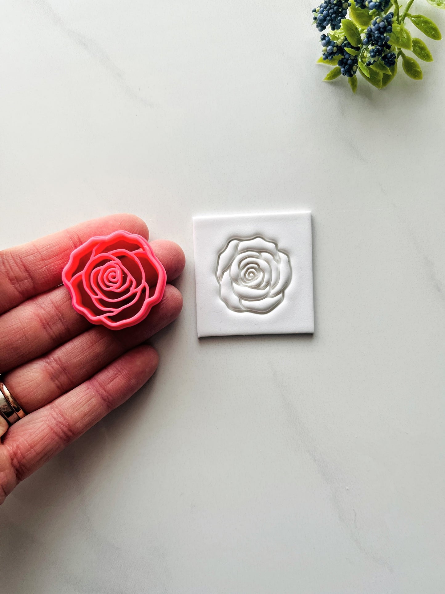 Rose