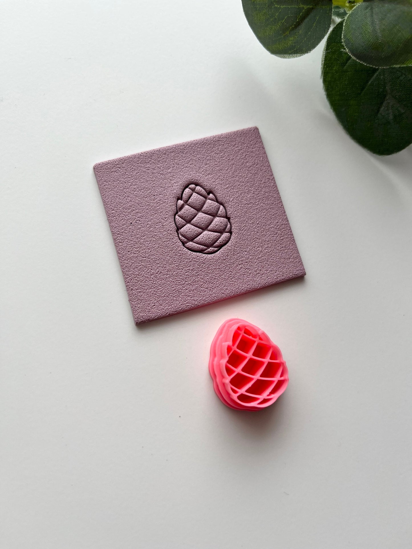 Pomme de pin