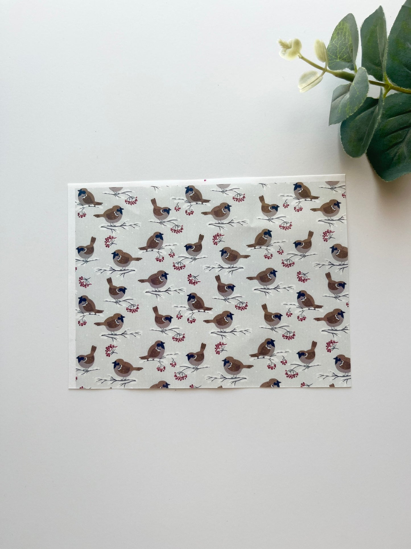 Winter Robins Image Transfer Paper