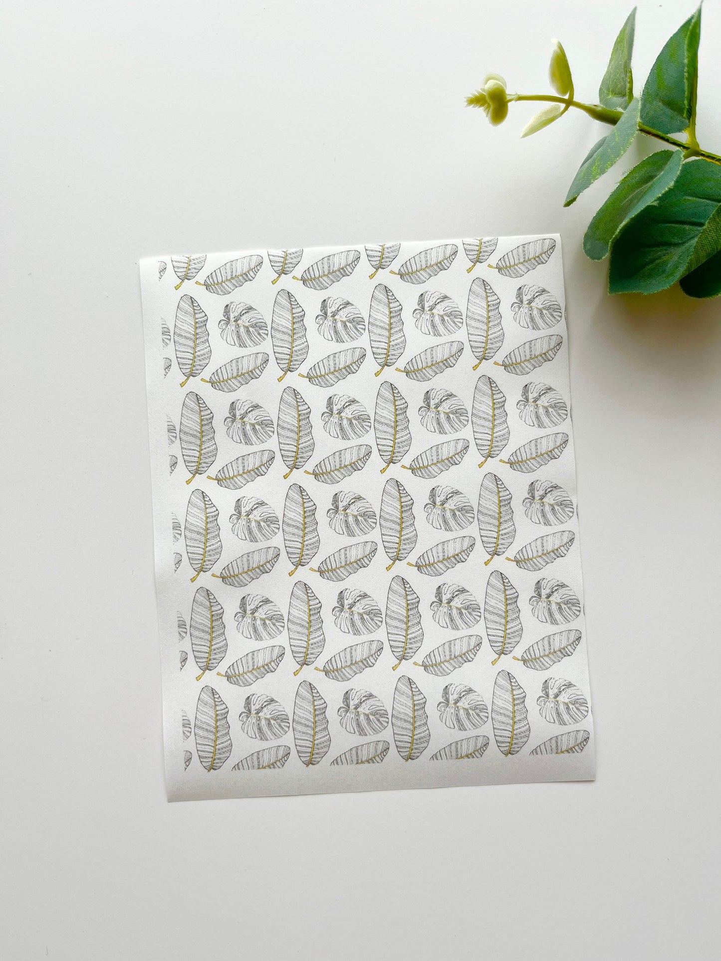 Banana Leaf Image Transfer Paper