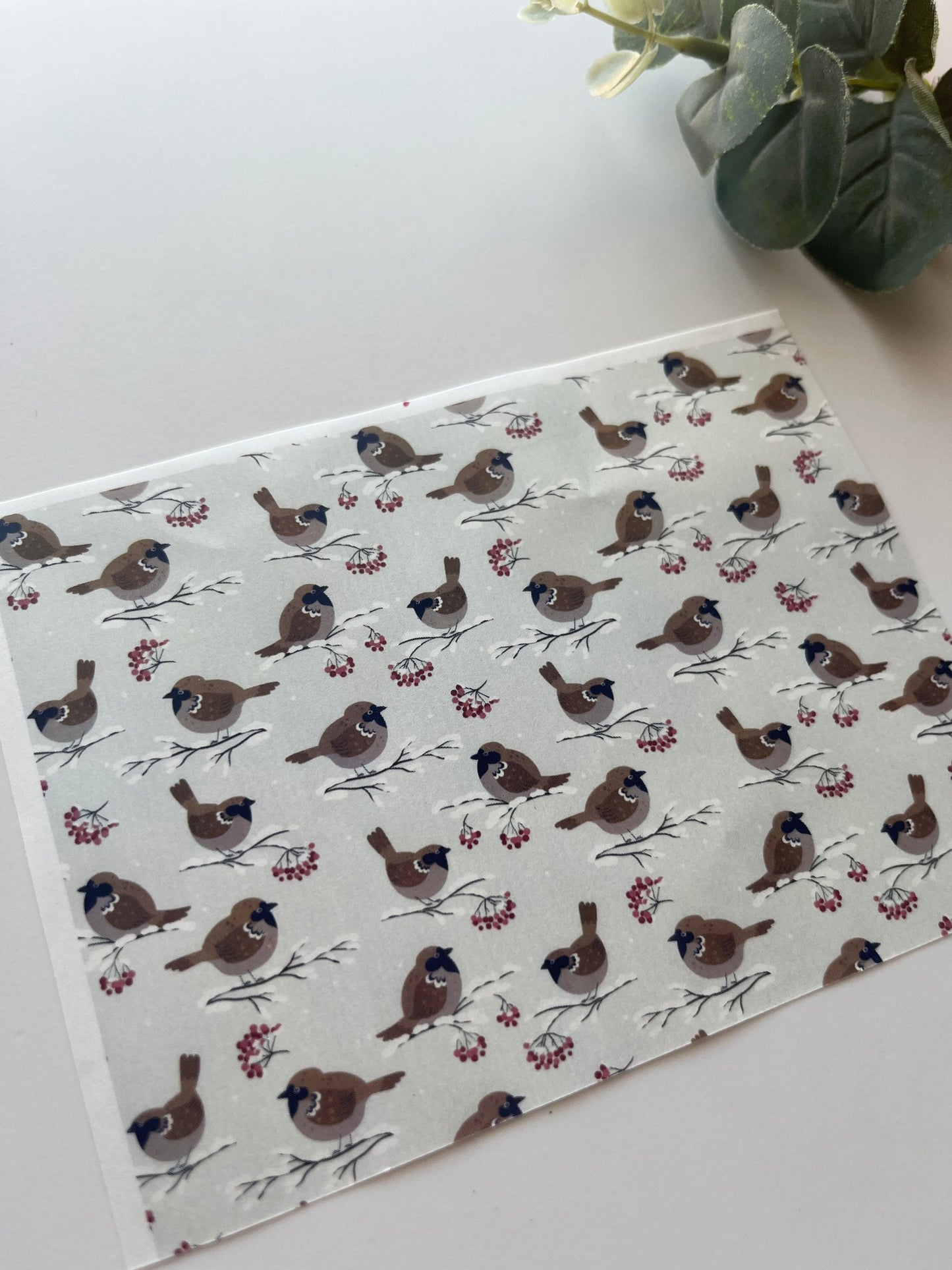 Winter Robins Image Transfer Paper