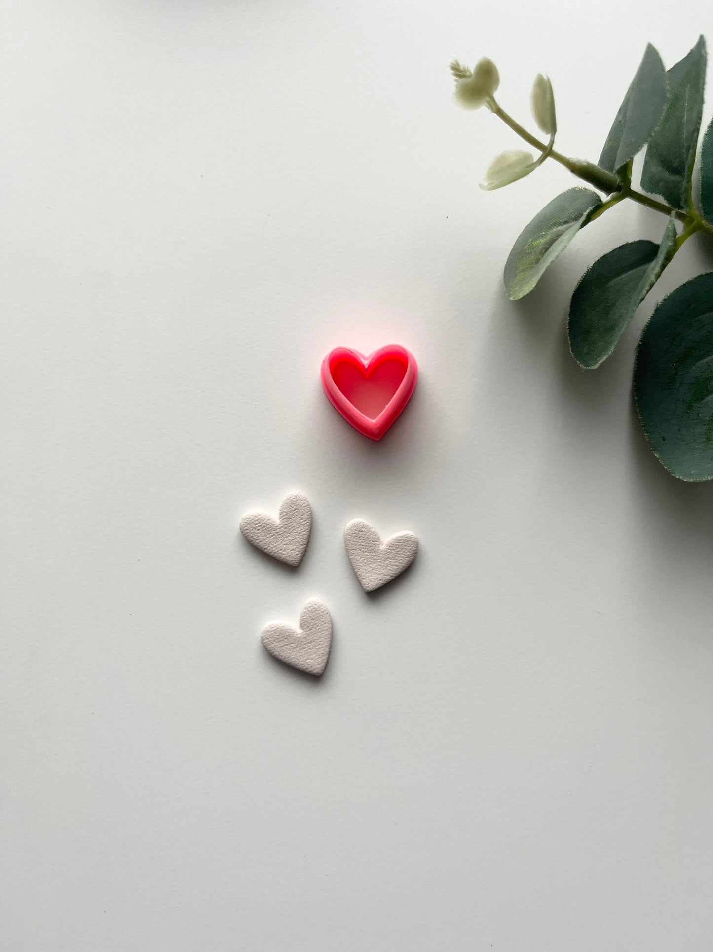 Goujon de coeur biologique