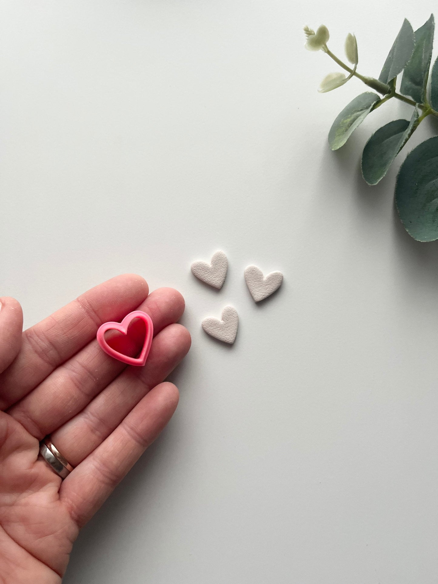 Goujon de coeur biologique