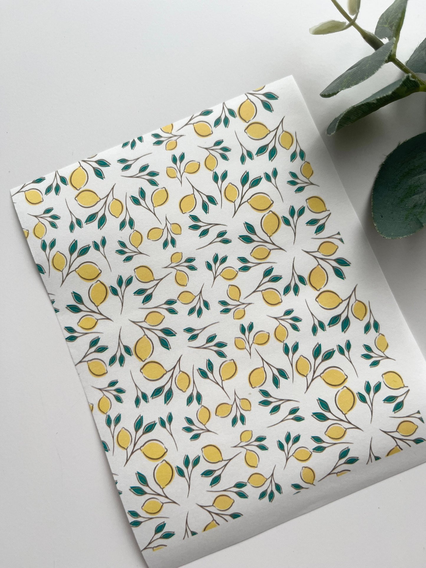 Lemons Transfer Paper #1