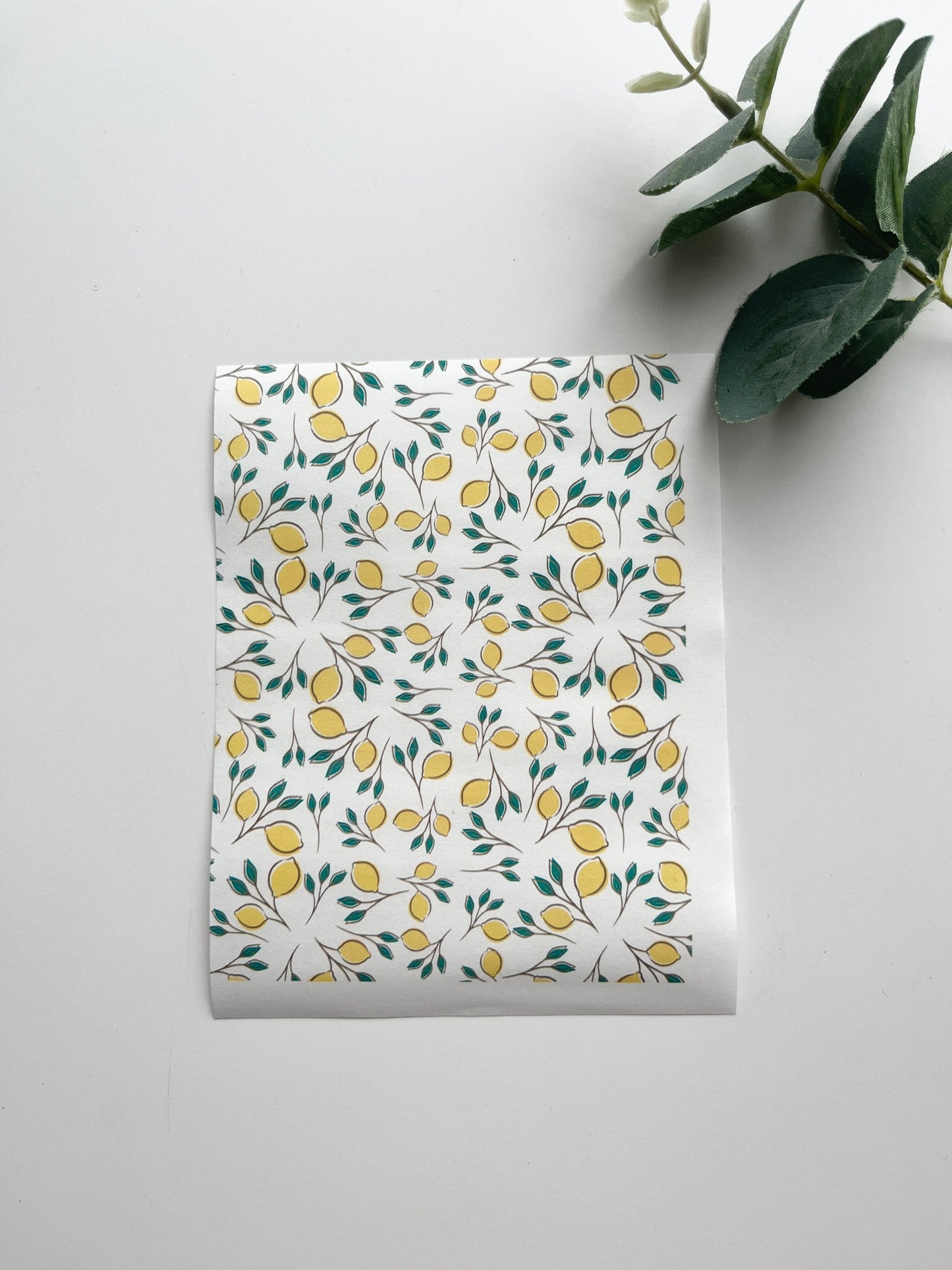 Lemons Transfer Paper #1