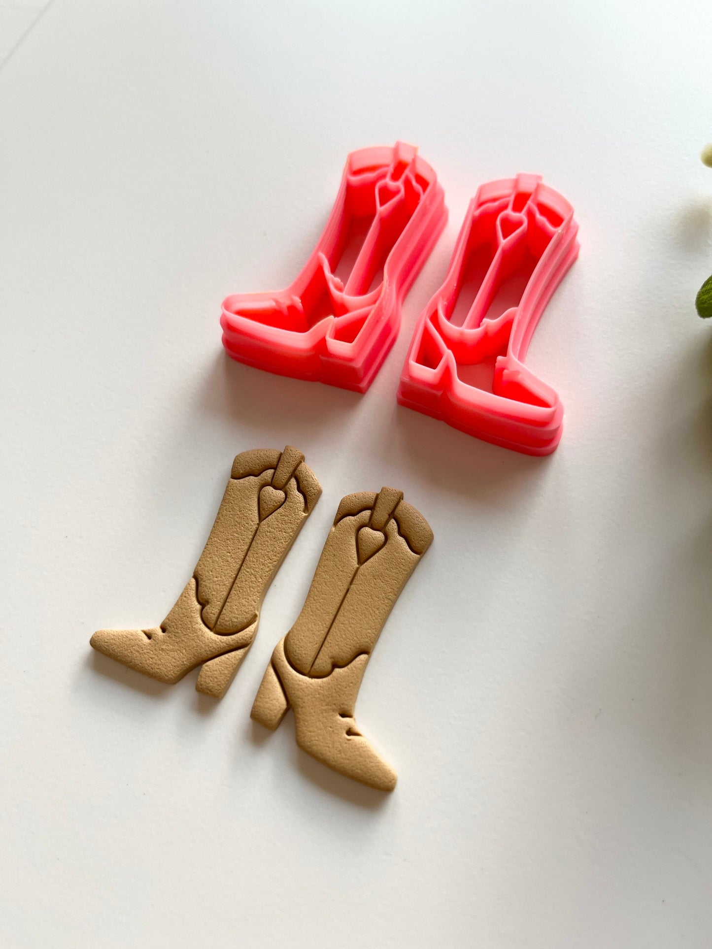 Bottes de cow-girl