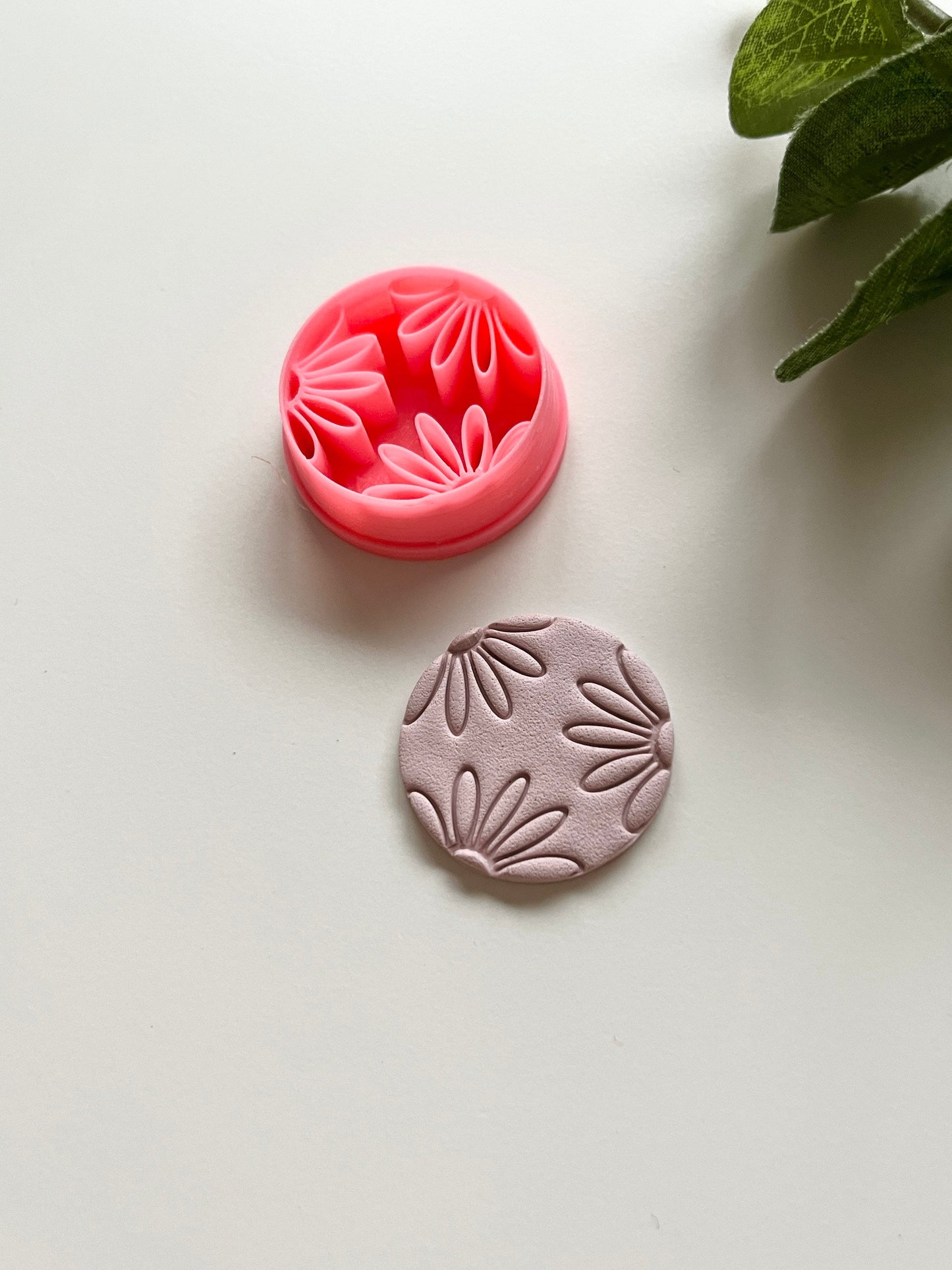 Cercle de fleurs de marguerite