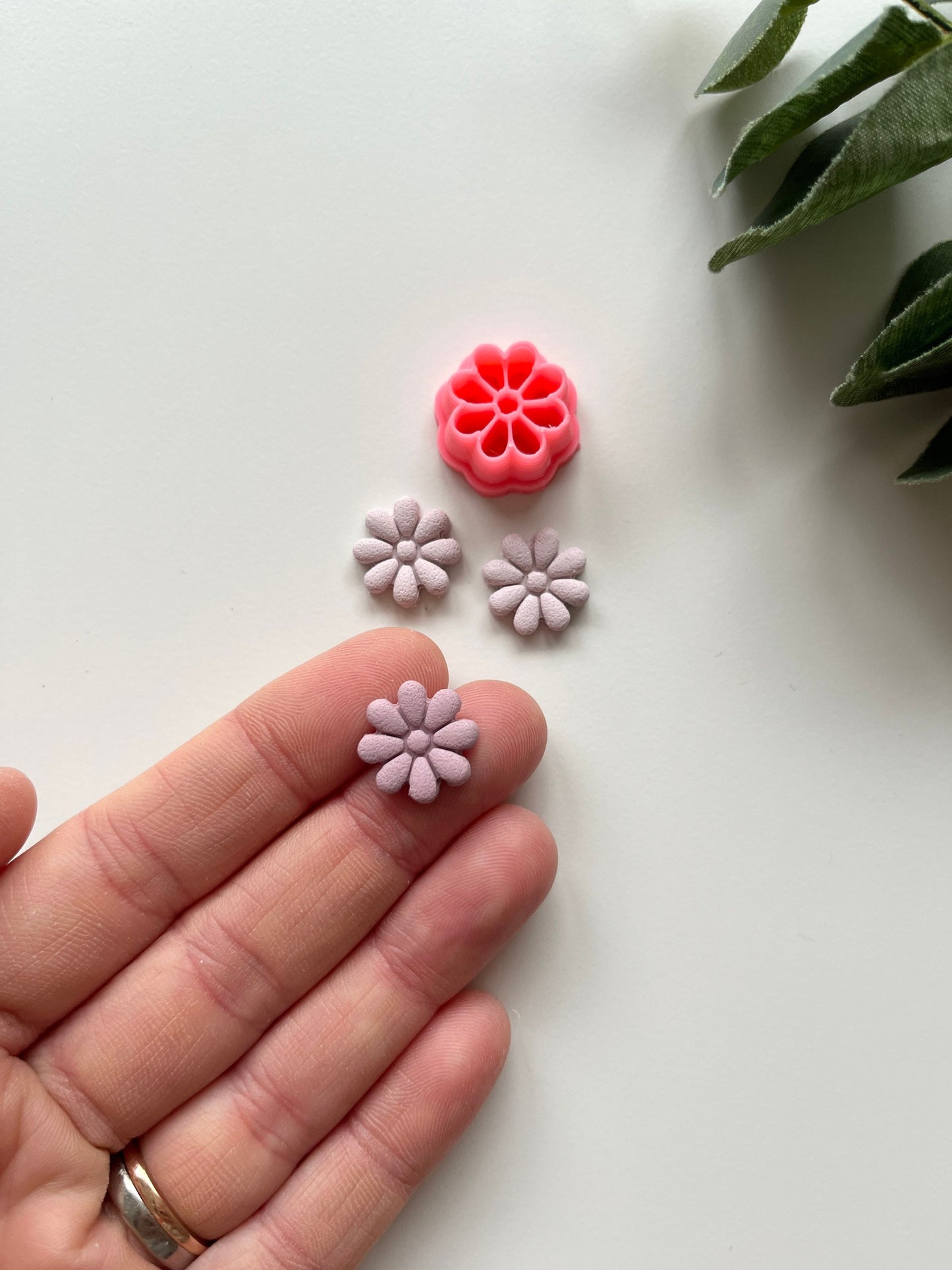 Mini marguerite