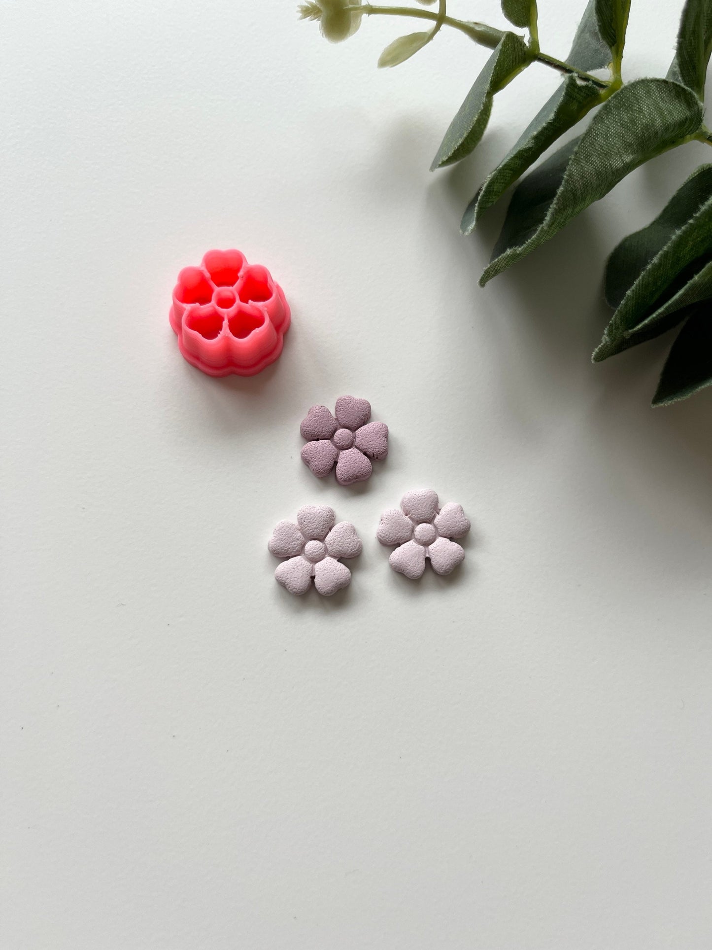 Mini fleur ne m'oublie pas