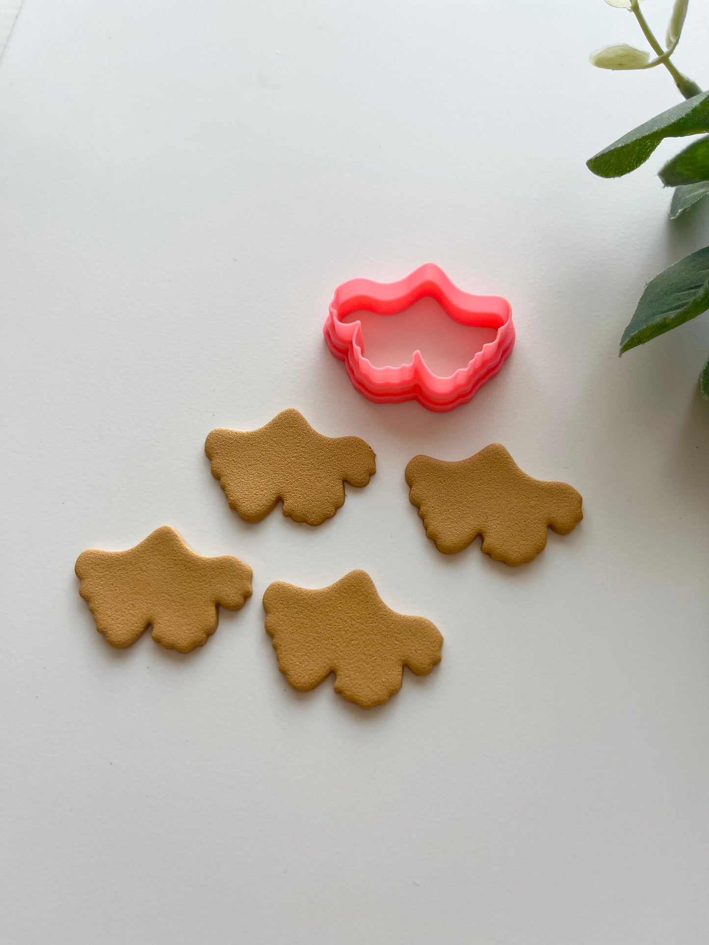 Feuille de Ginkgo