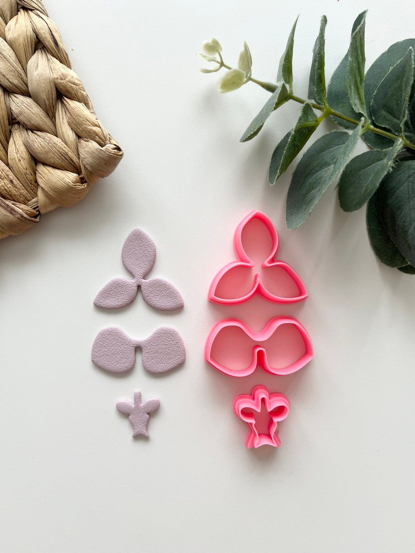 Constructeur de fleurs d'orchidées