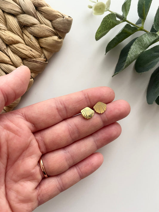 Seashell Studs