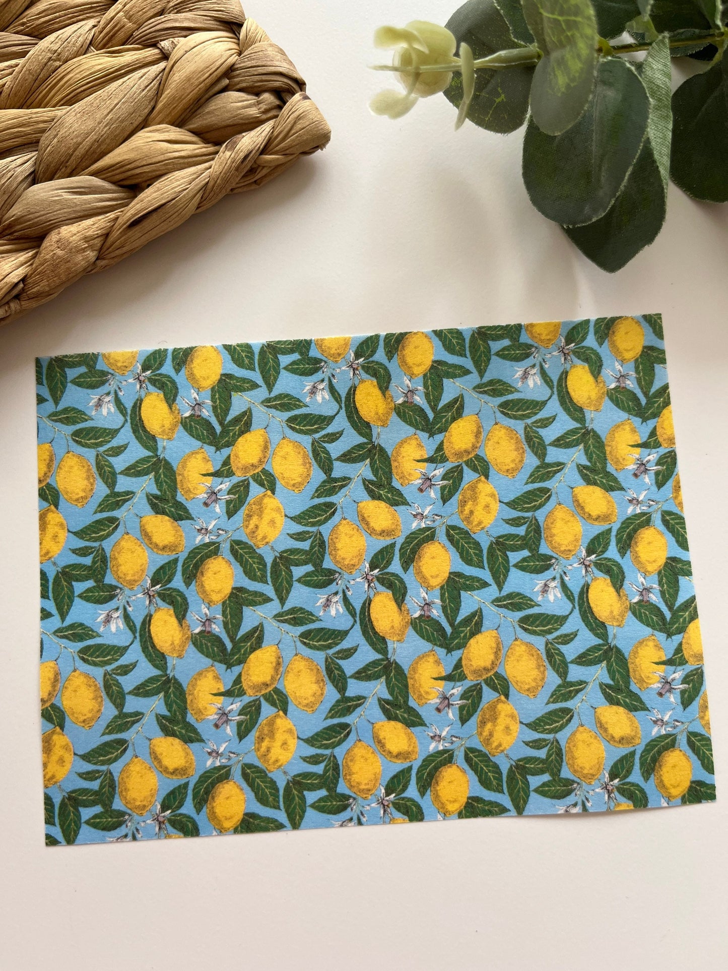 Lemons #2 Image Transfer Paper