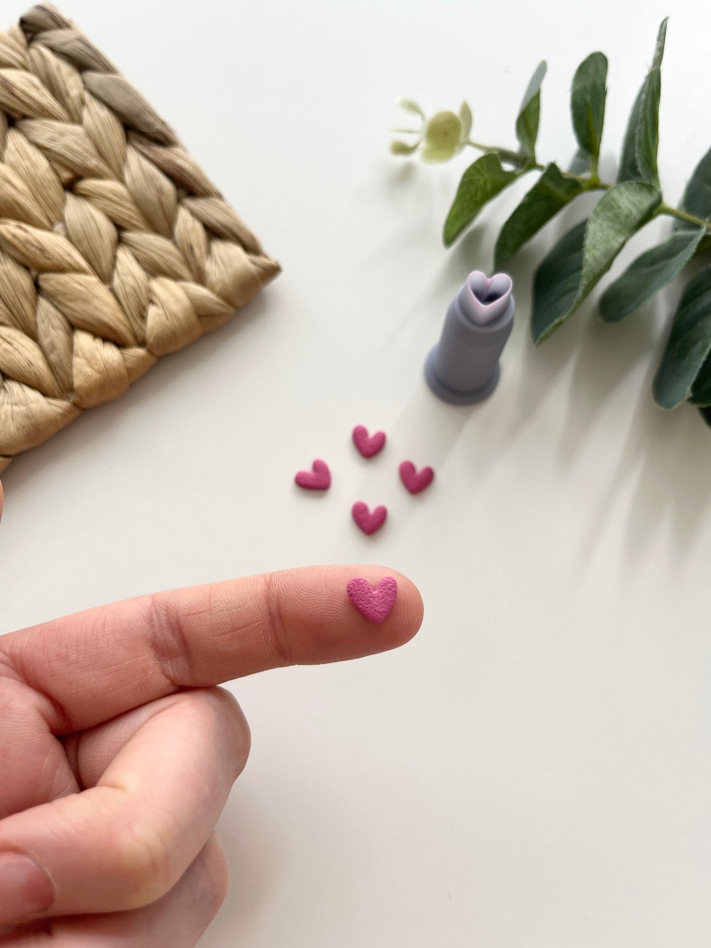 Mini Coeur Bio